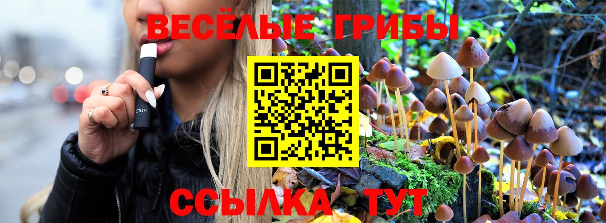 Псилоцибиновые грибы MAGIC MUSHROOMS  Вход с VPN  Видное  Галлюциногенные грибы Cubensis 